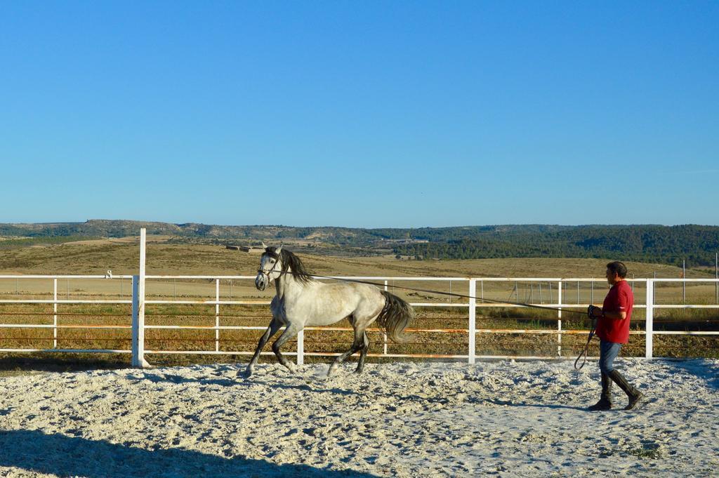 Rural Reillo Alojamientos Rurales Экстерьер фото