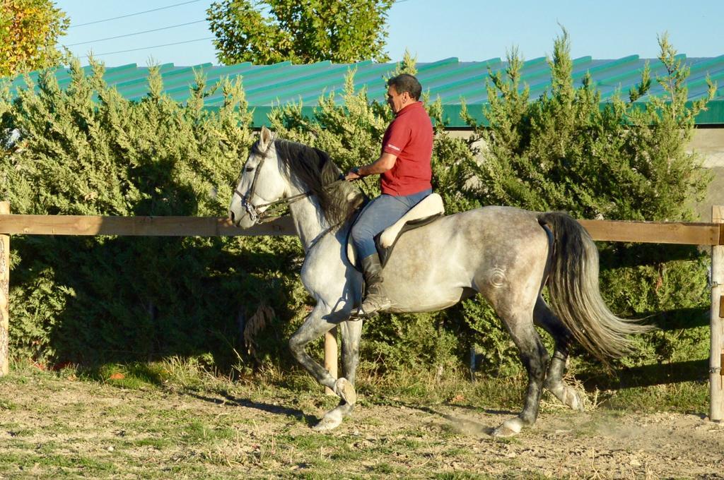 Rural Reillo Alojamientos Rurales Экстерьер фото