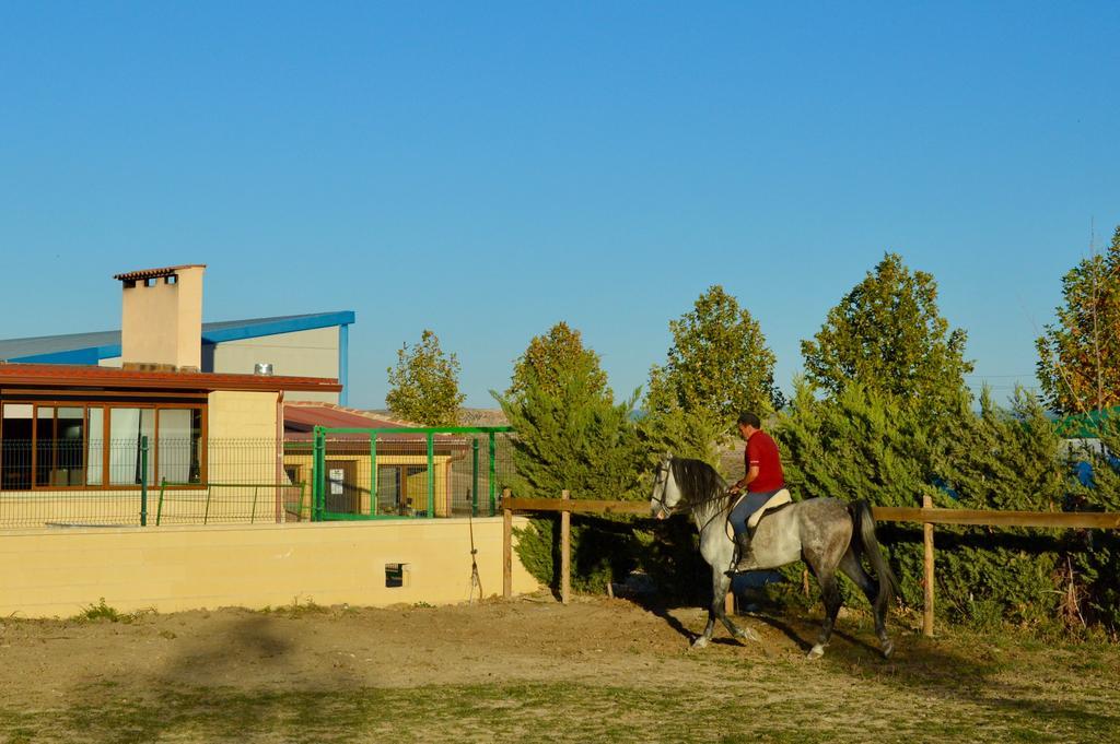 Rural Reillo Alojamientos Rurales Экстерьер фото